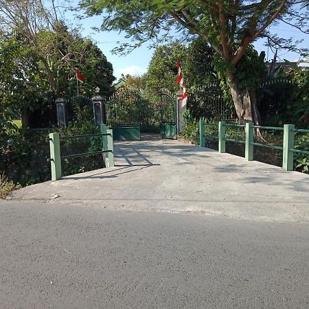 卢玛萨瓦住宿加早餐旅馆 Ngabean 外观 照片