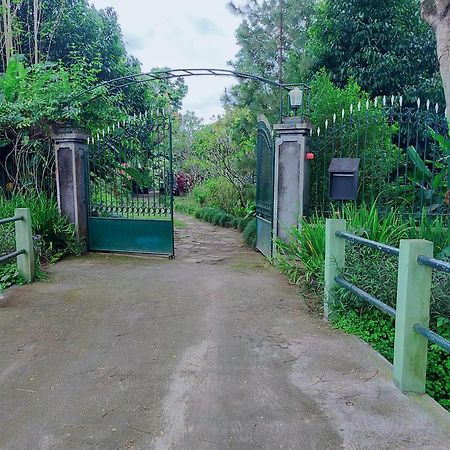 卢玛萨瓦住宿加早餐旅馆 Ngabean 外观 照片